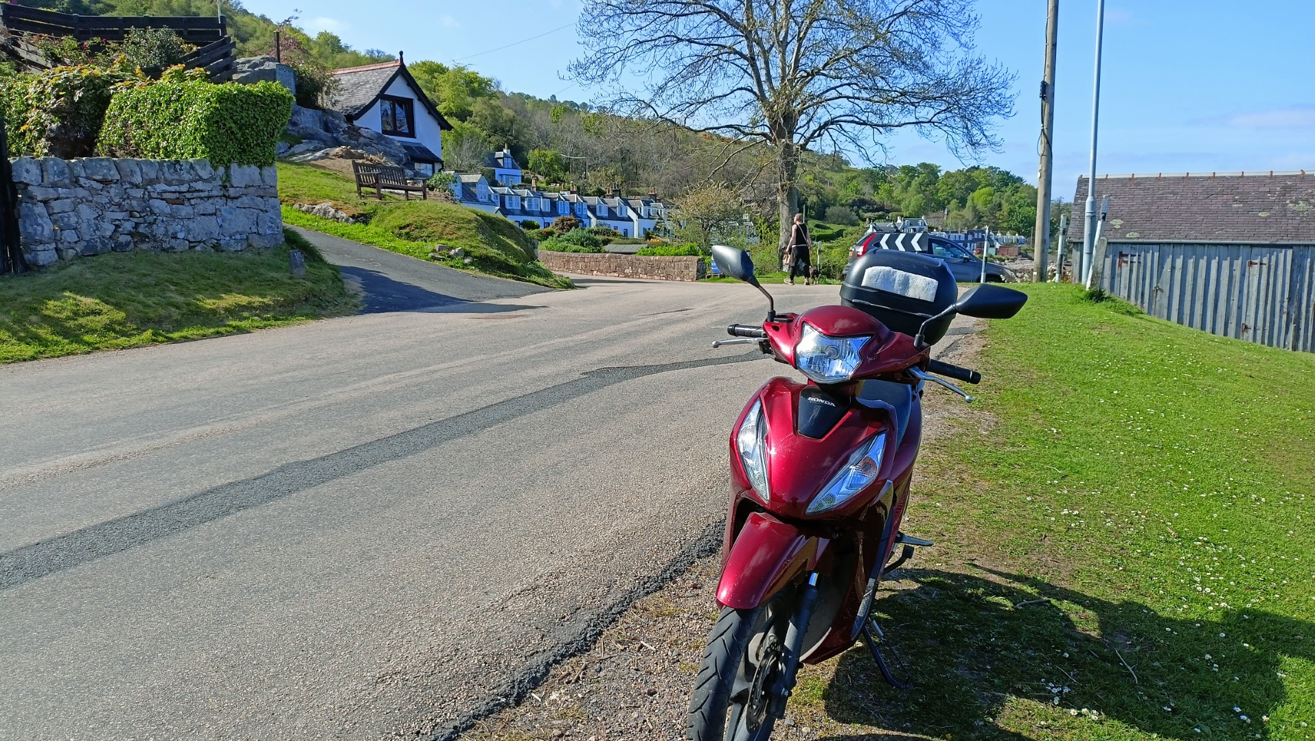 1000010424 (Large).jpg