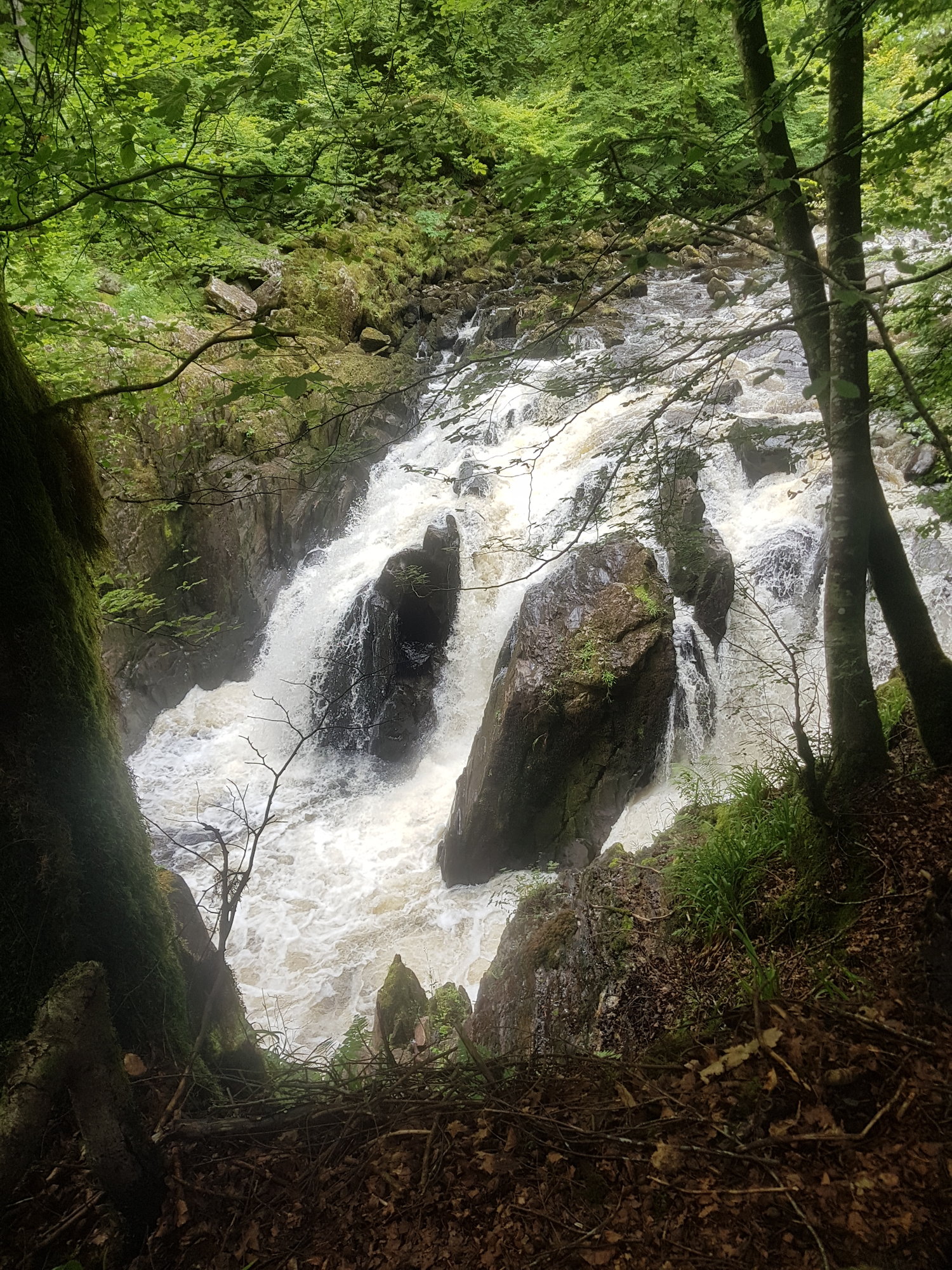 20200807_123104.jpg