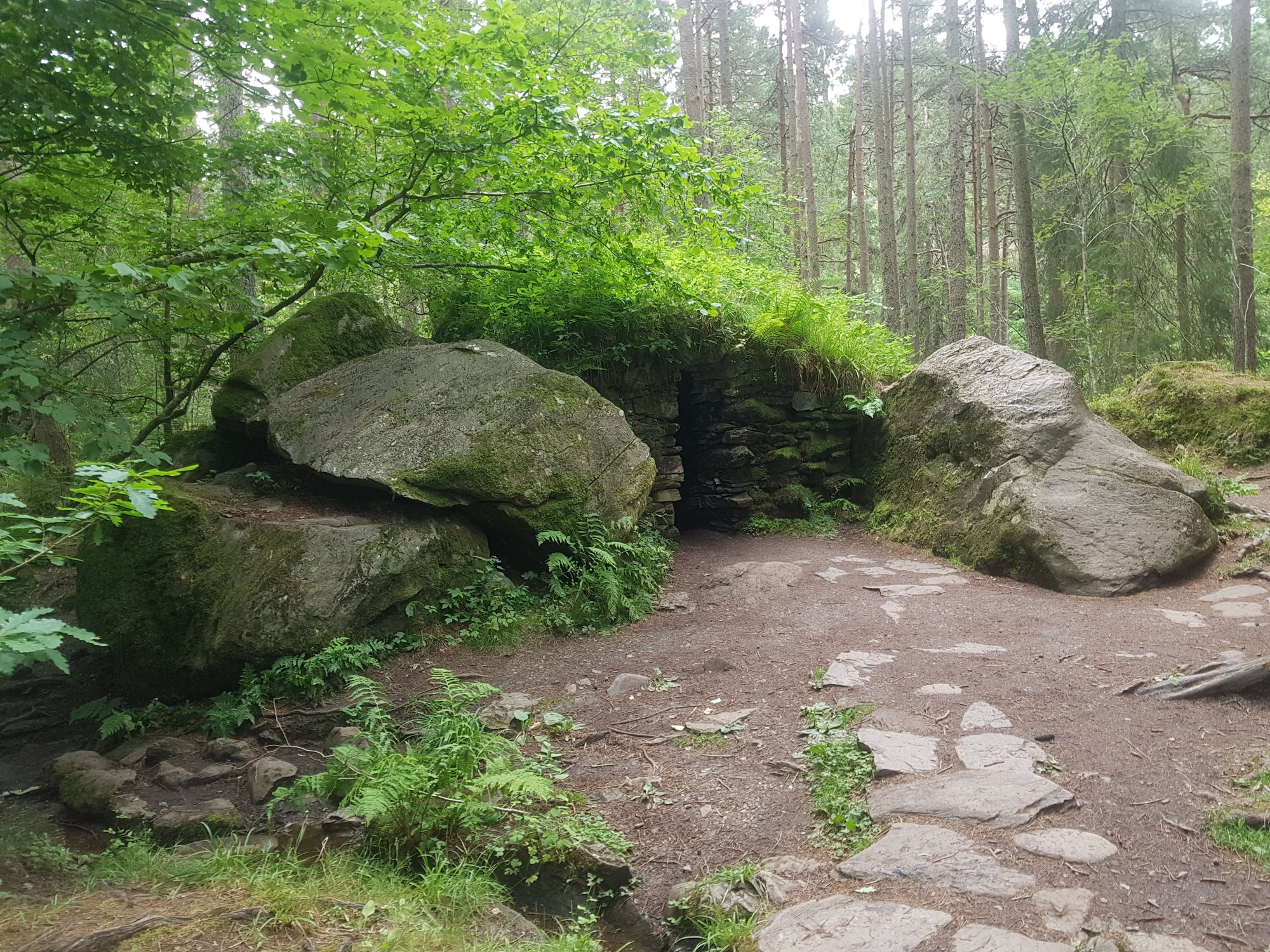 20200807_123943.jpg