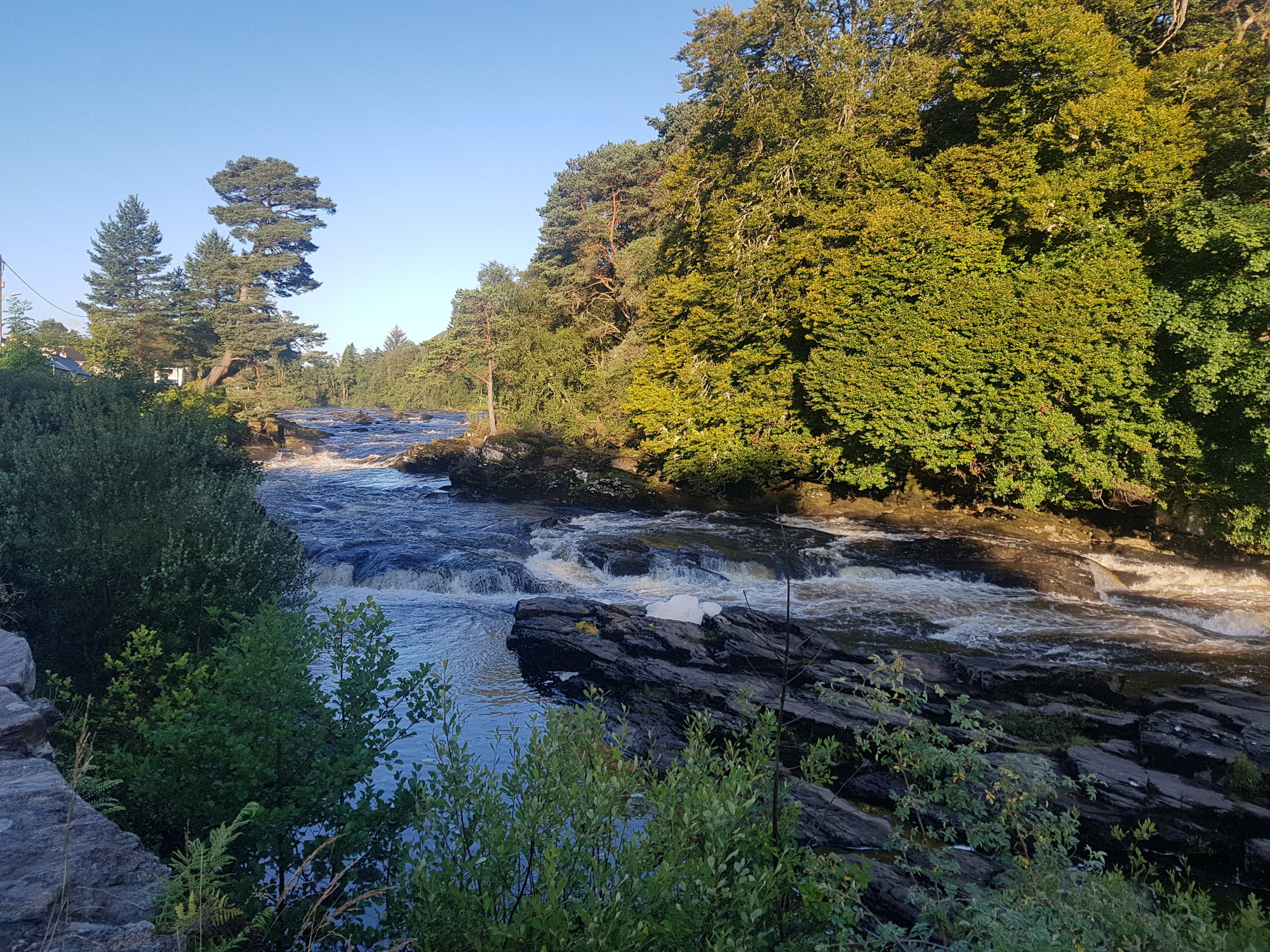 20200808_071728.jpg