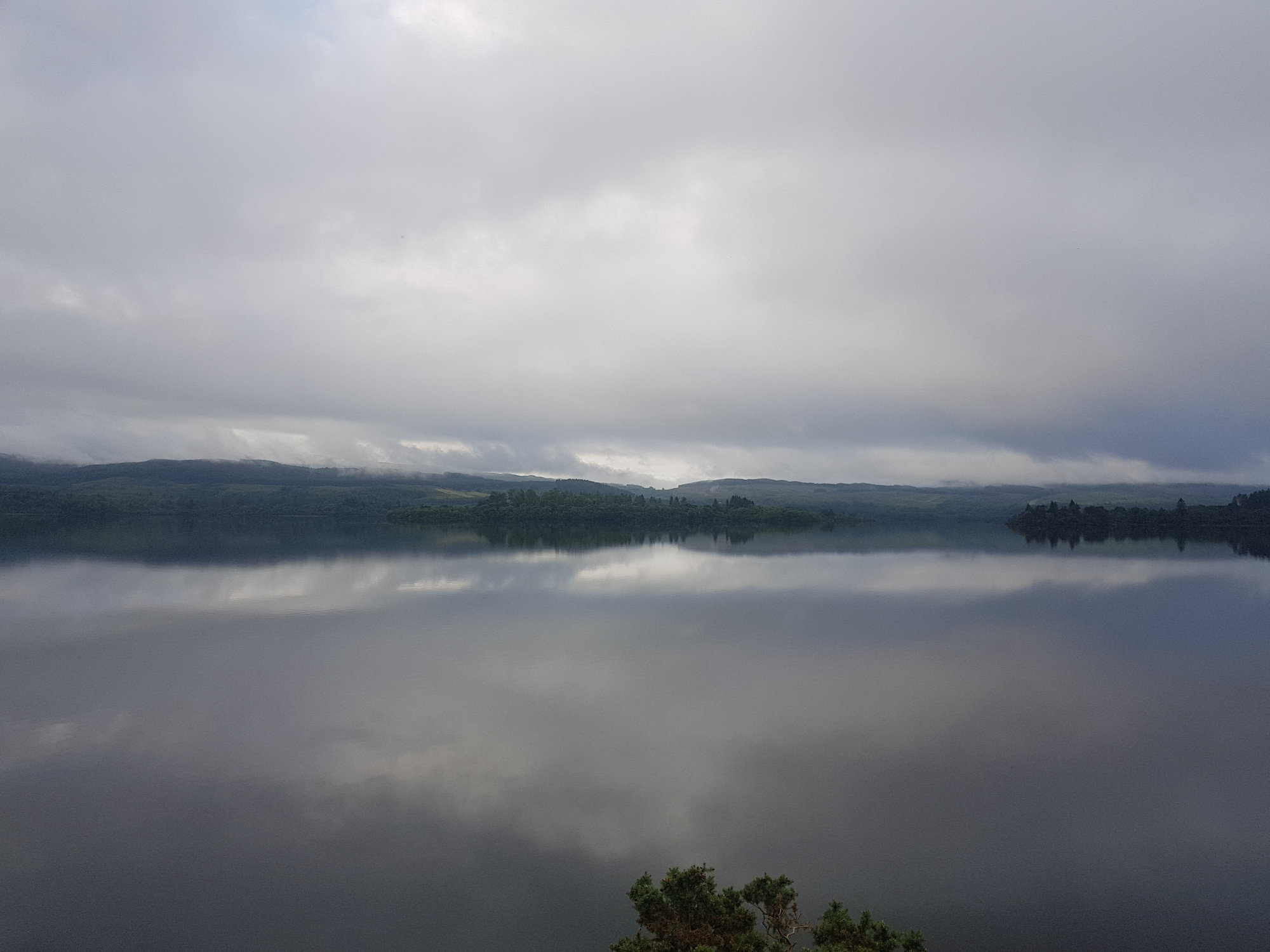 20200808_080841.jpg
