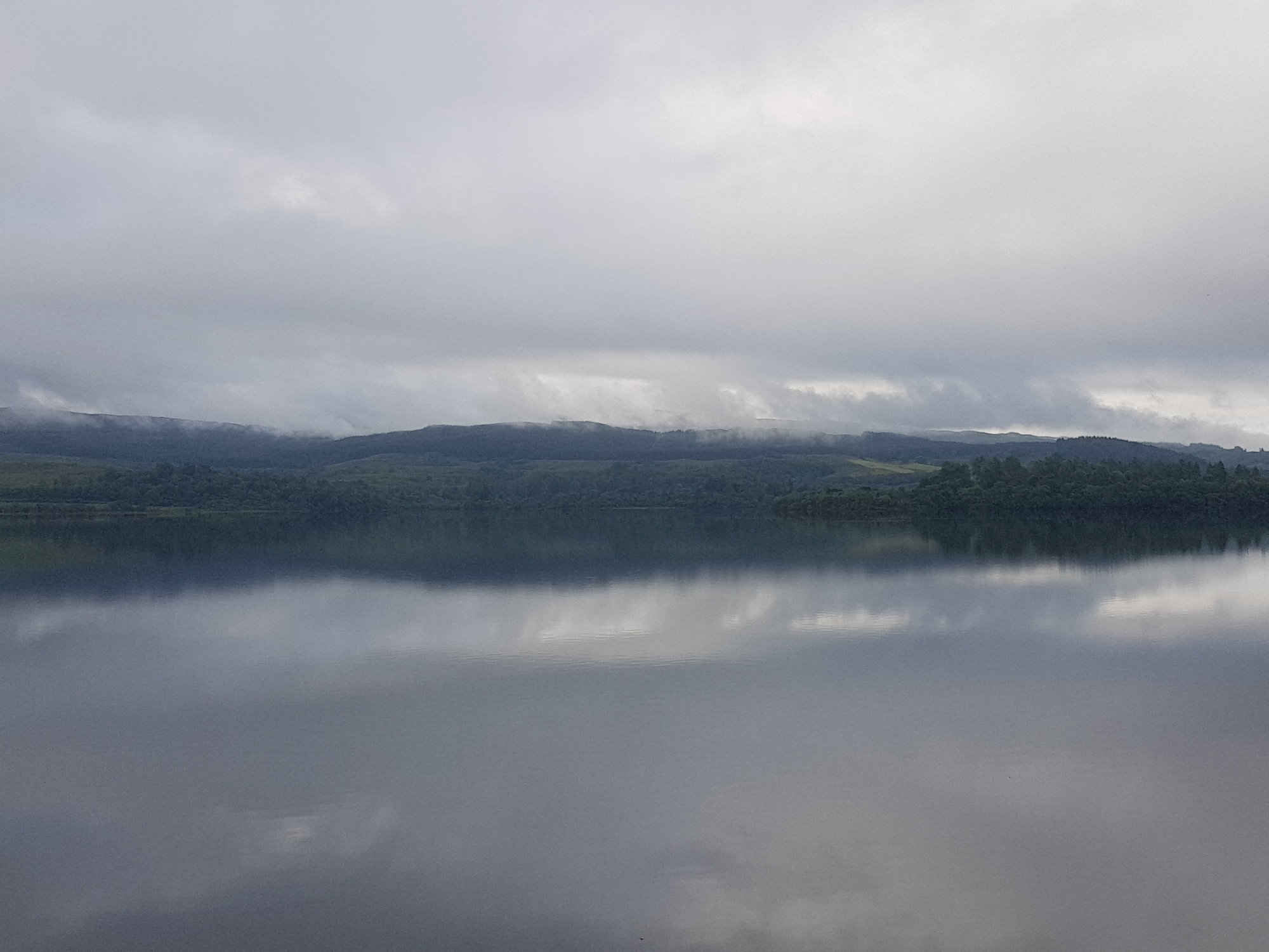 20200808_080851.jpg
