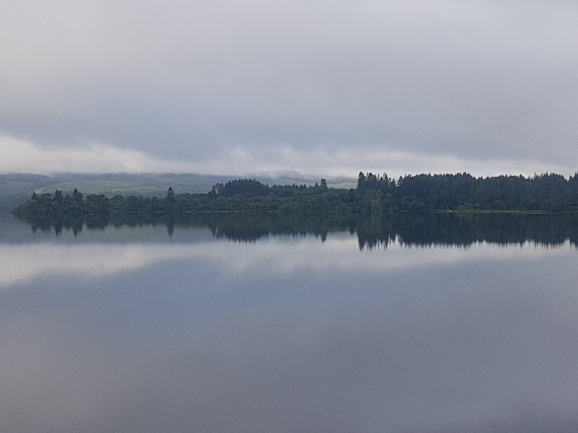 20200808_080859.jpg