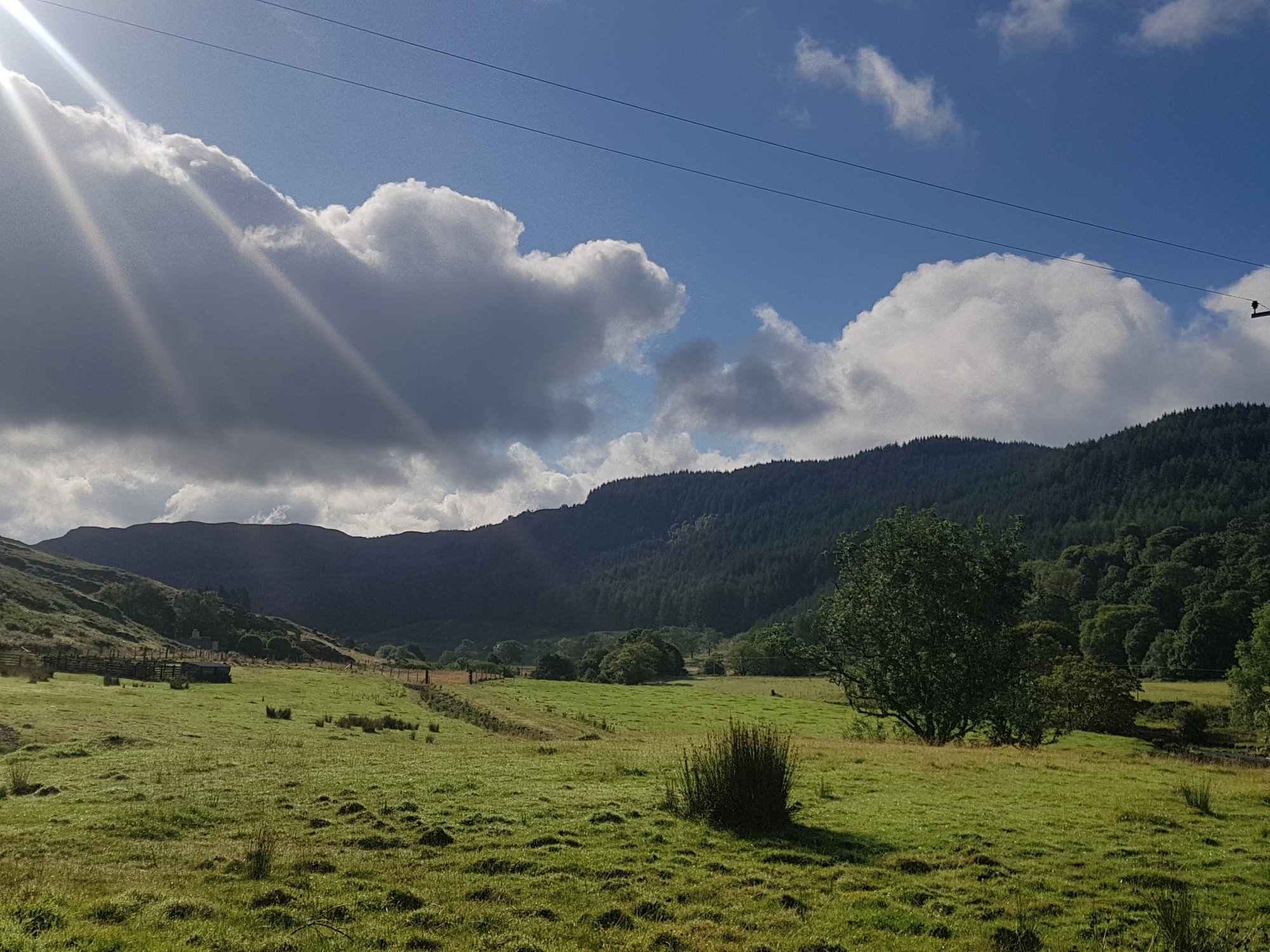 20200808_090816.jpg
