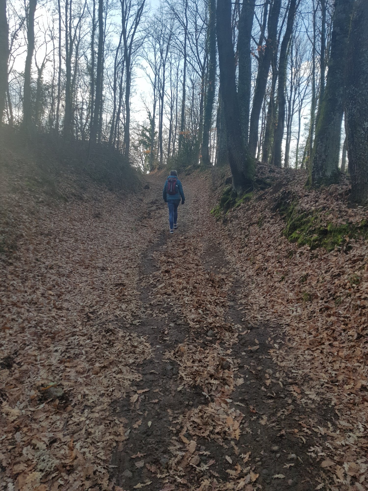 20230126_080745.jpg