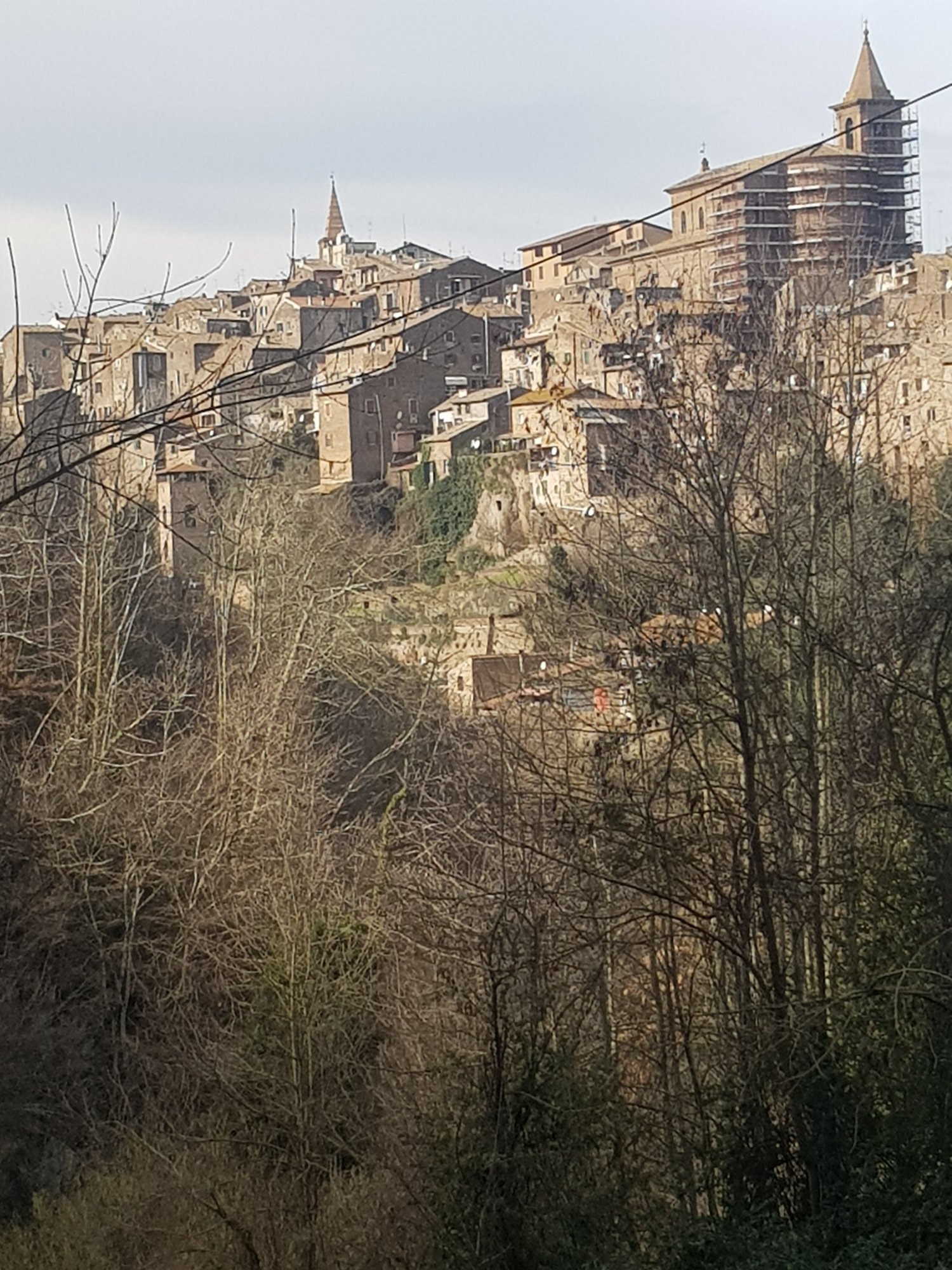 20230126_120151.jpg