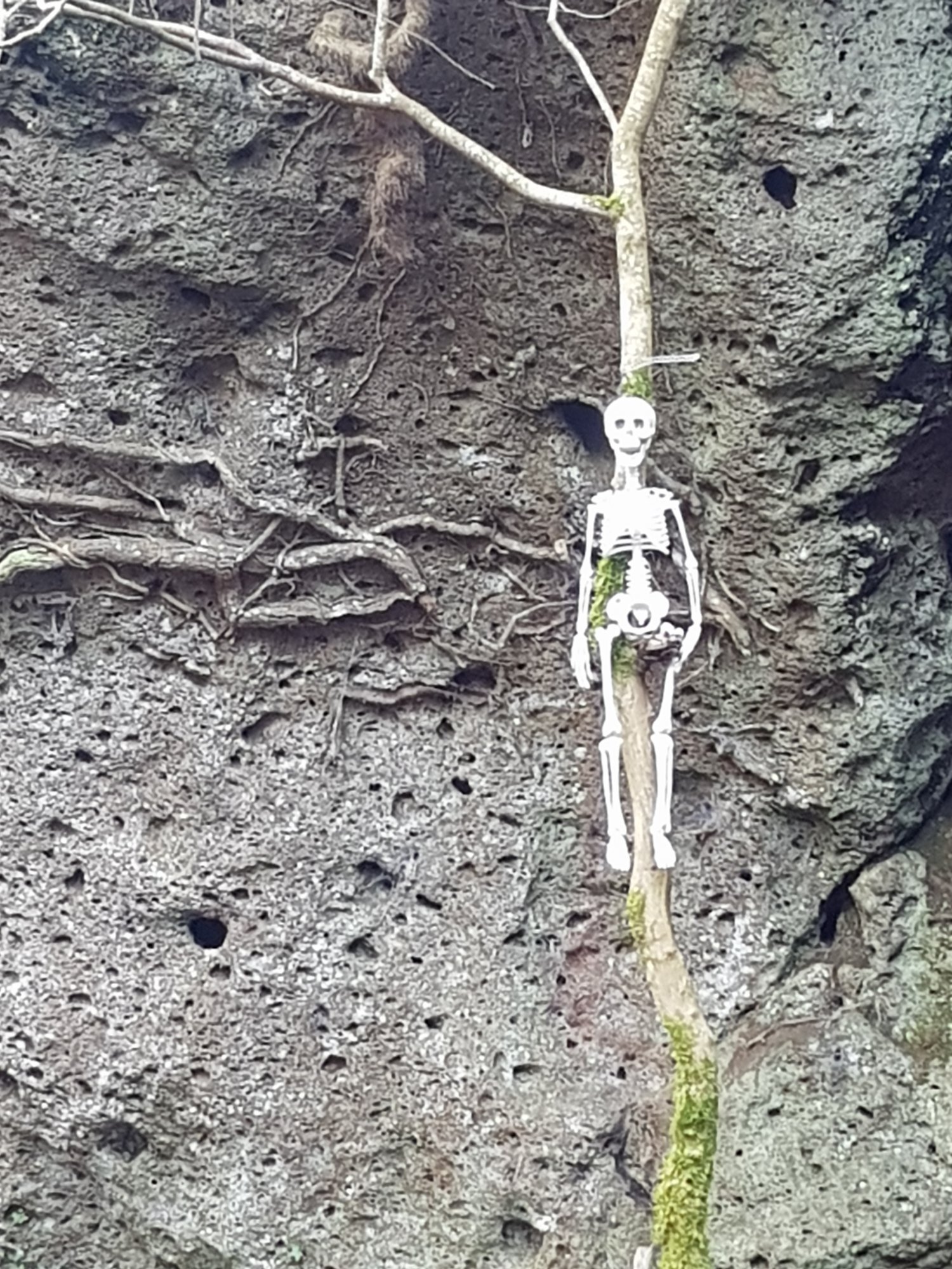 20230126_130224.jpg