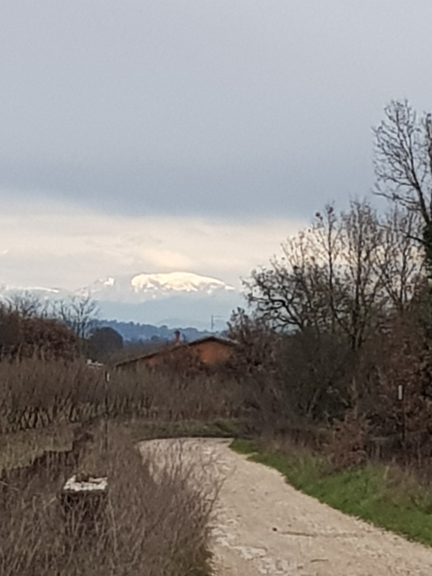 20230128_114636.jpg