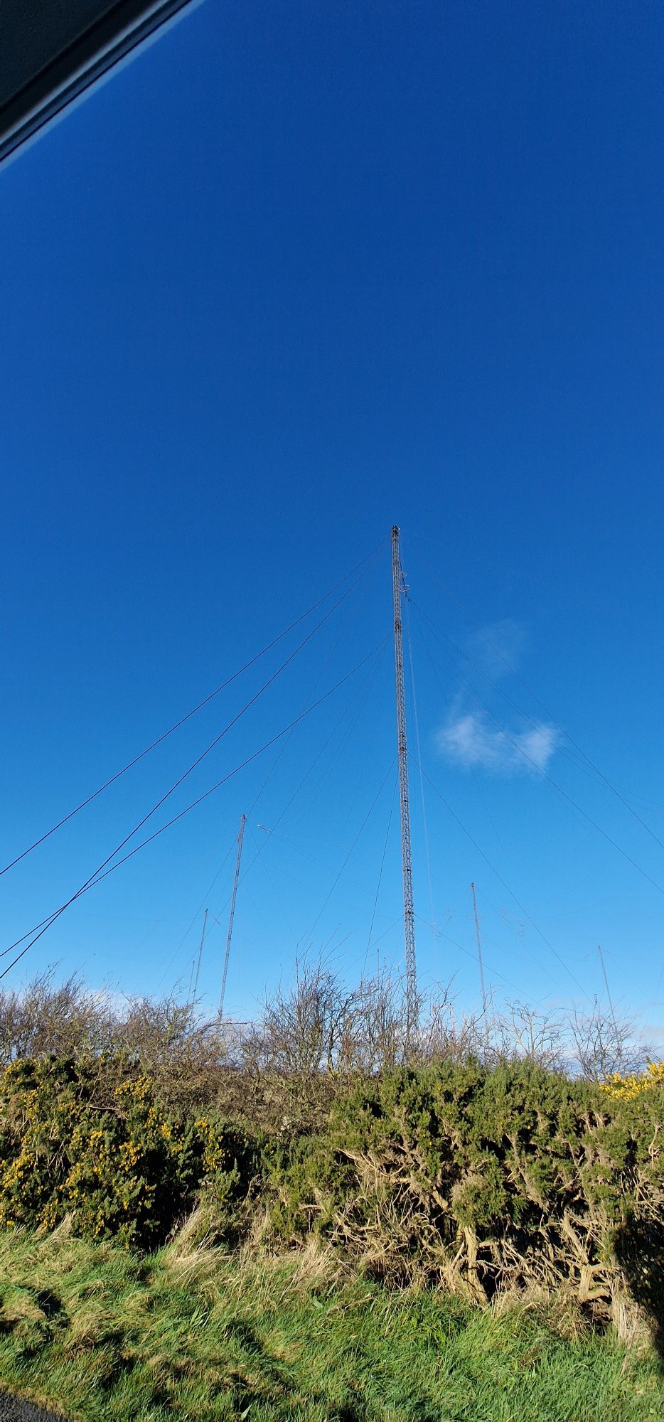 20241121_124835.jpg