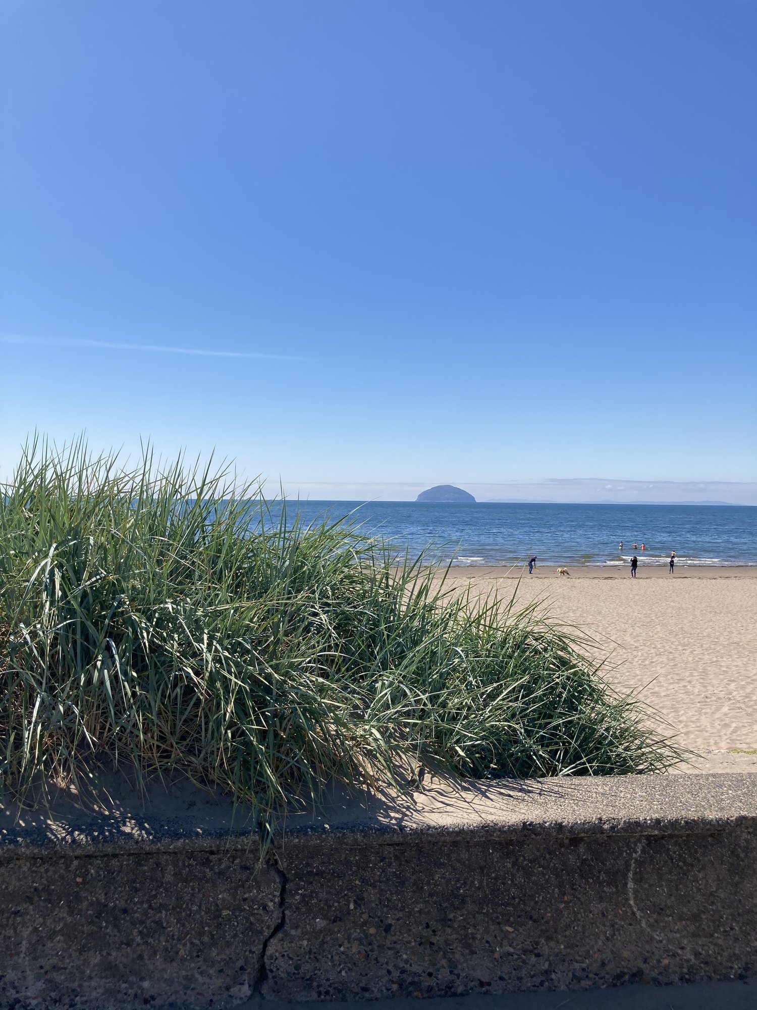 2AAAD105-DECD-4819-8A1A-E6548723F4C5.jpeg