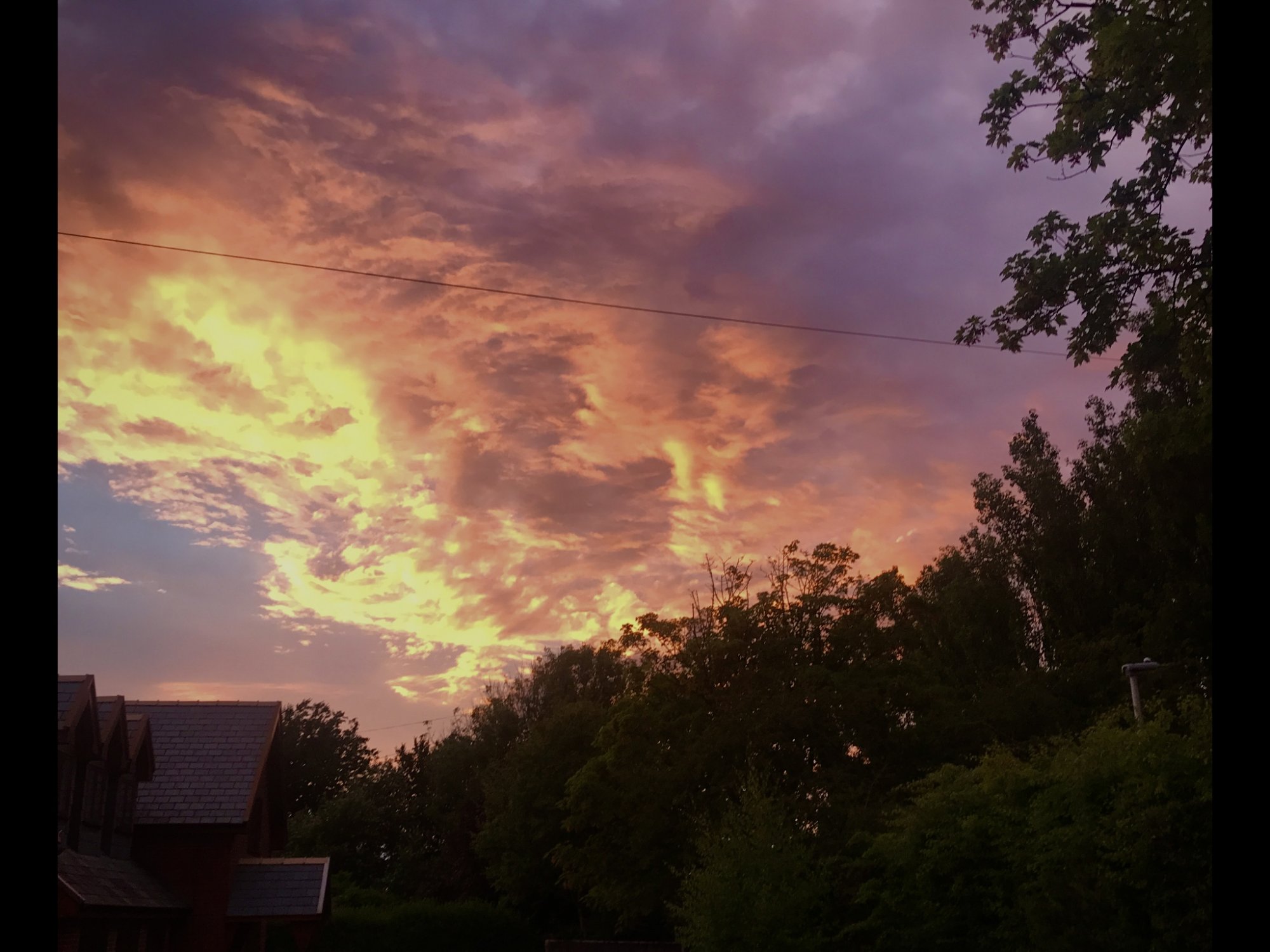 7109A250-4752-4E0E-8E7D-1E68146C0906.jpeg