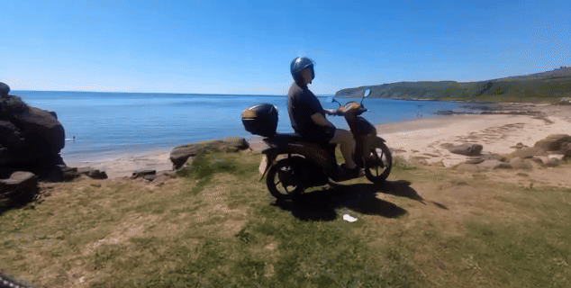 baz bike shark.gif