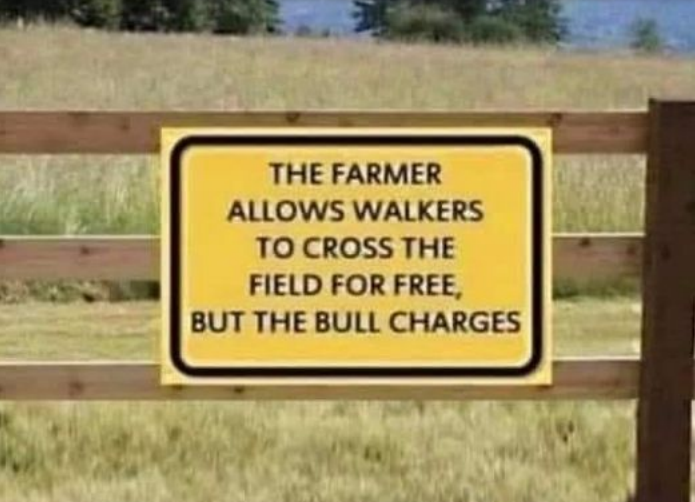 bull charges.png
