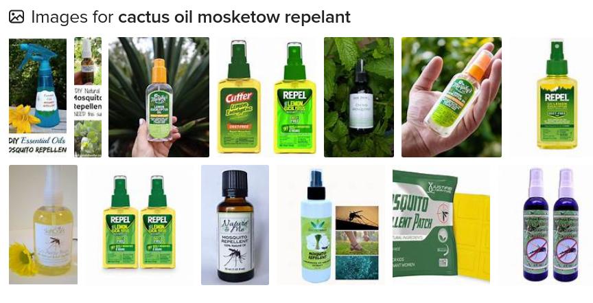 cactus oil.jpg