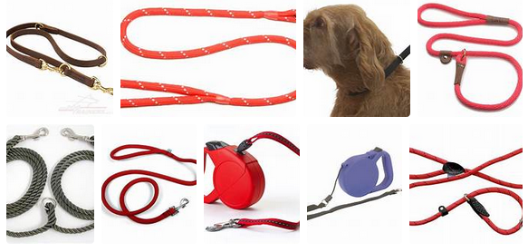 dog leads.png