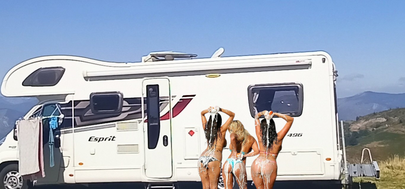 groupies cleaning hank.jpg