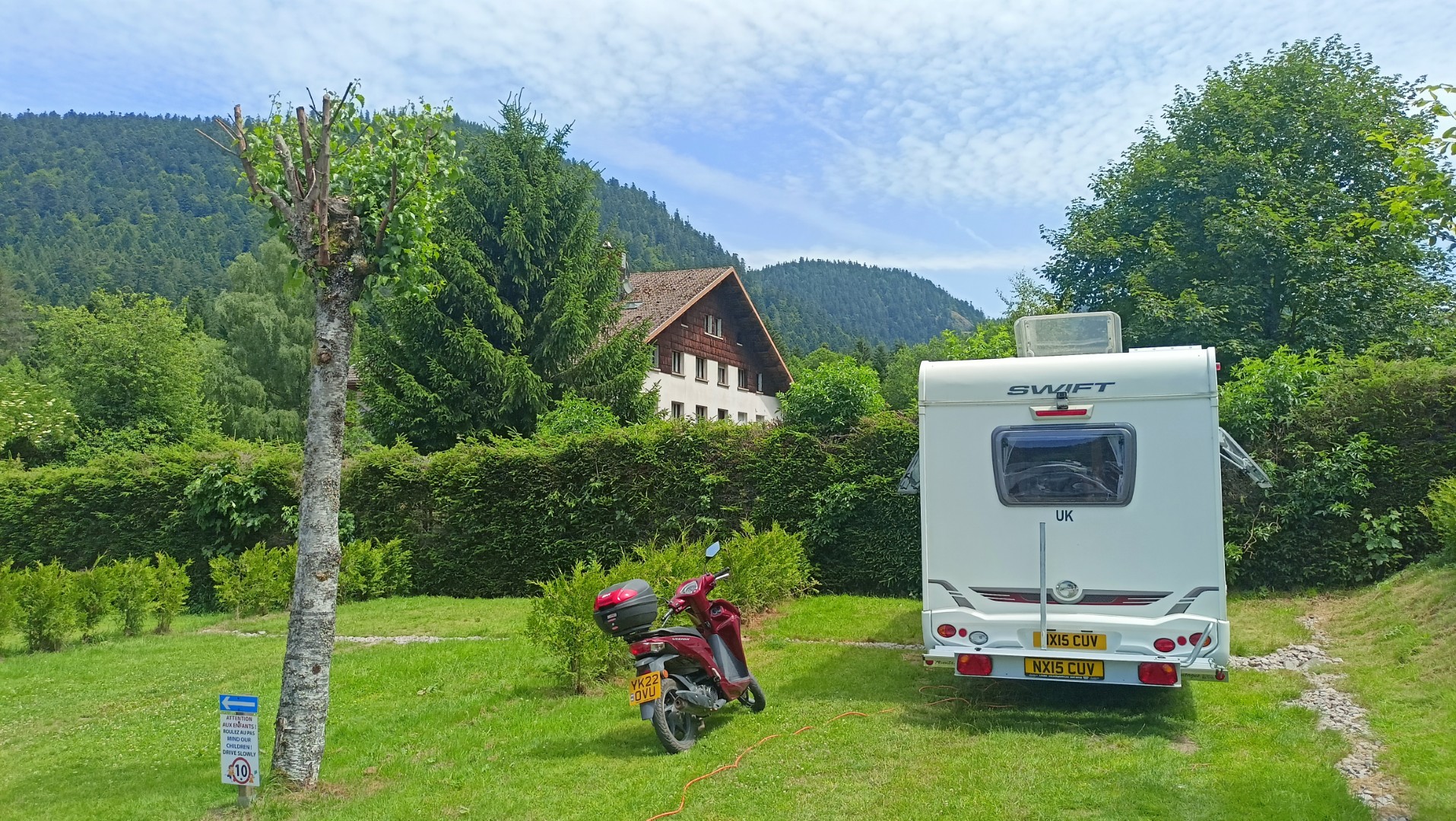 IMG20250625135239 (Large).jpg