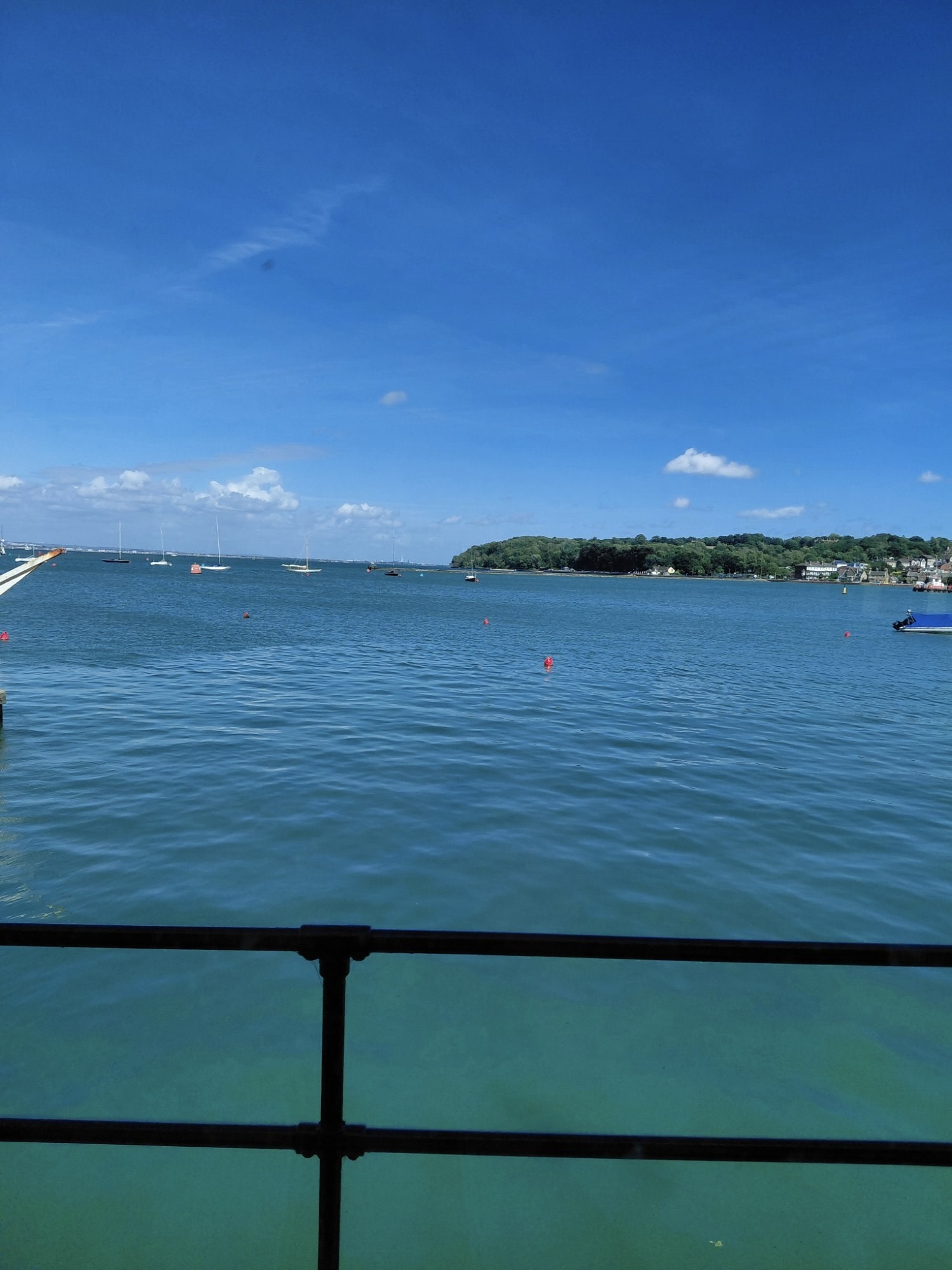 IMG_0774.jpeg