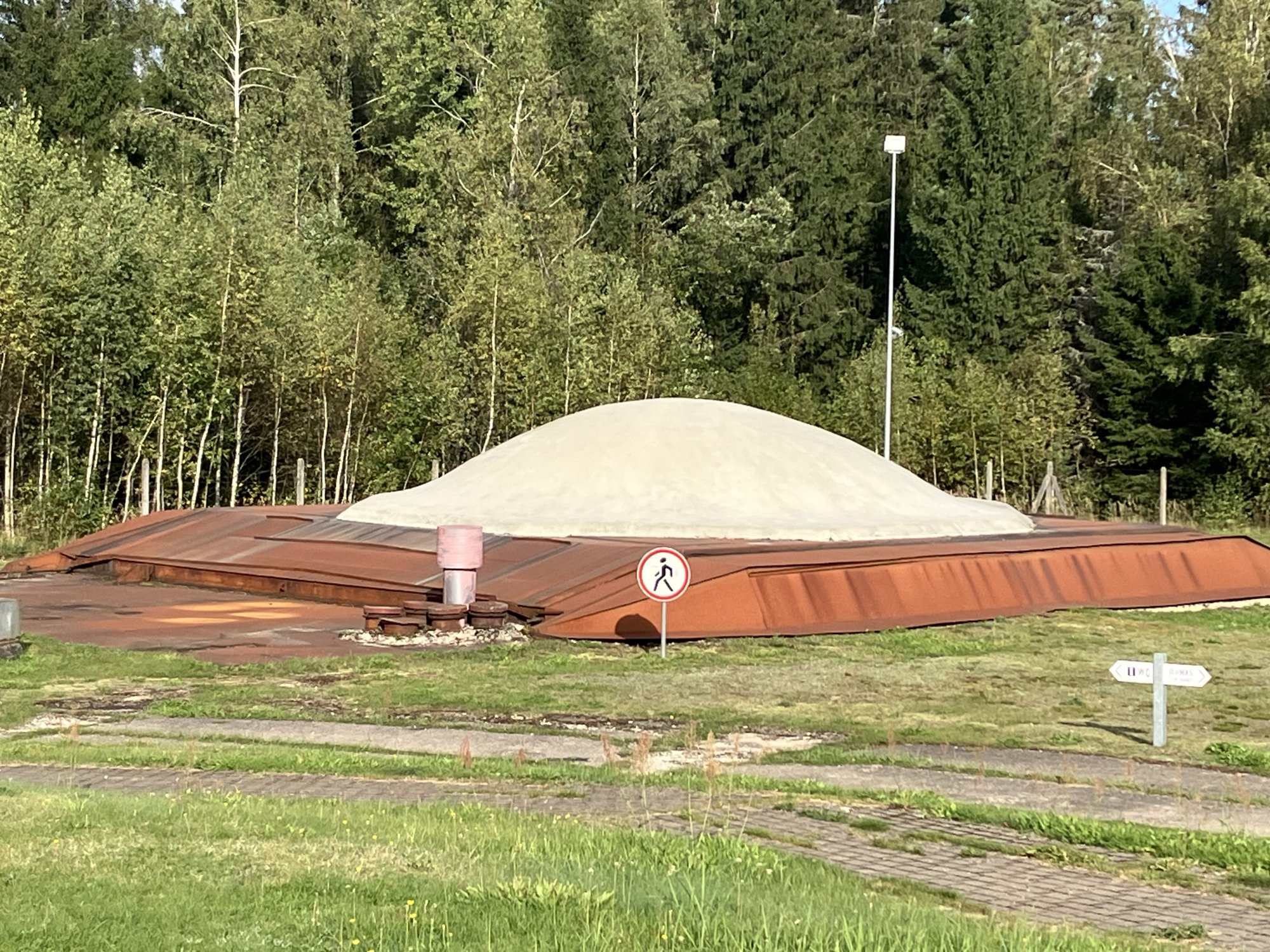 IMG_1413.jpeg IMG_1413.jpeg