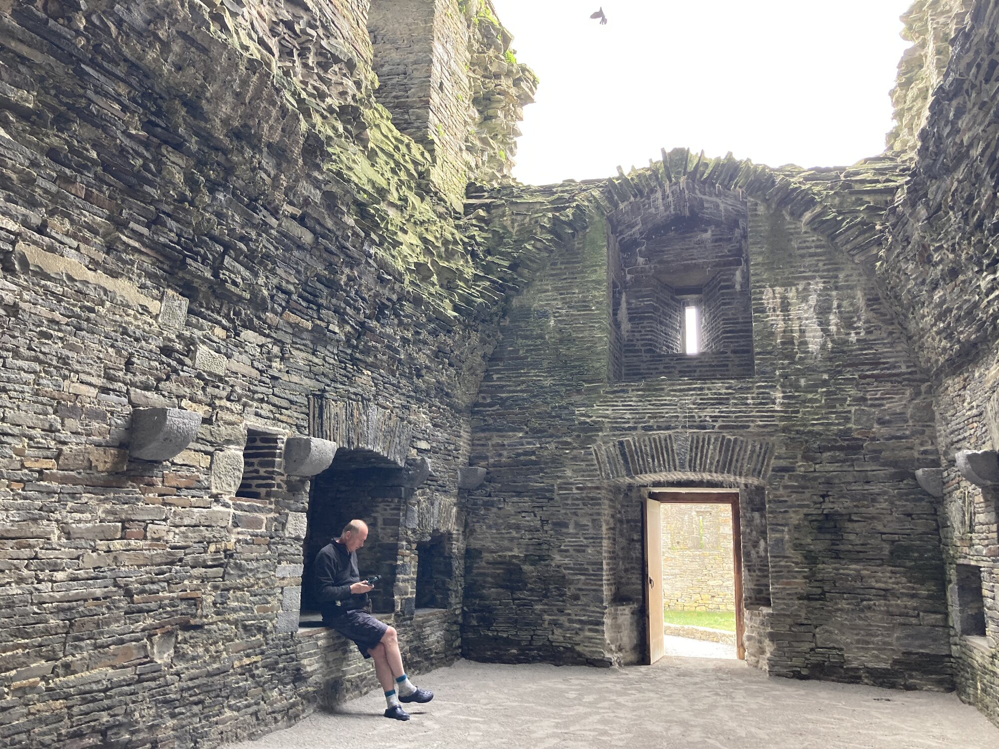 IMG_6406.jpeg