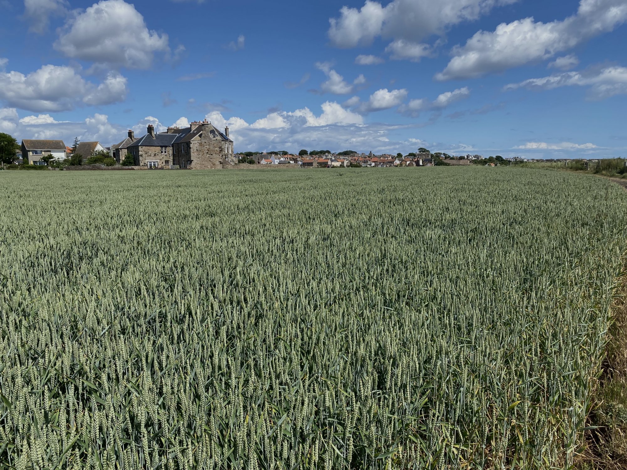 Crail today | Wild Camping for Motorhomes