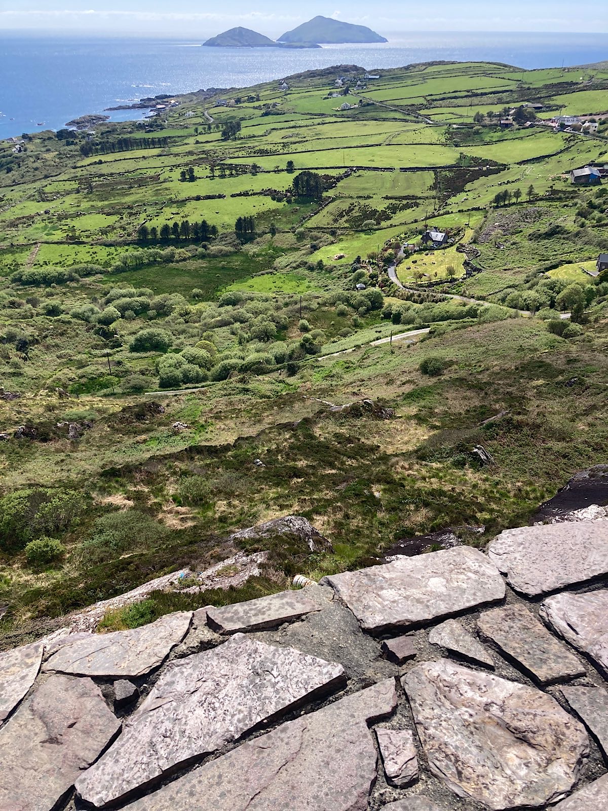 IMG_6986.jpeg