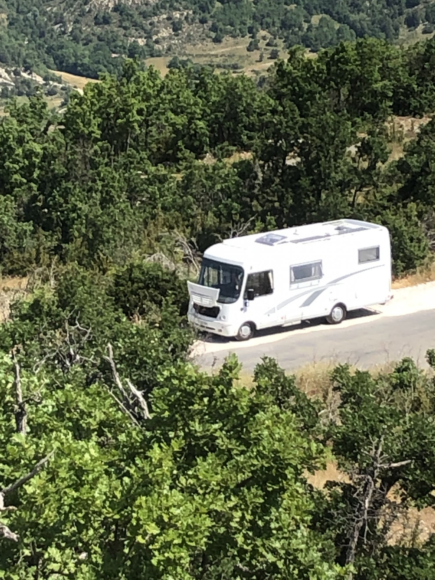 IMG_8001.jpeg