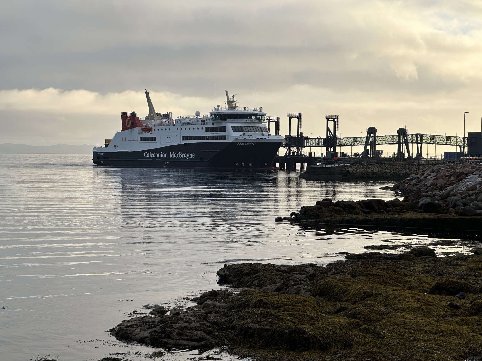 IMG_9958.jpeg IMG_9958.jpeg