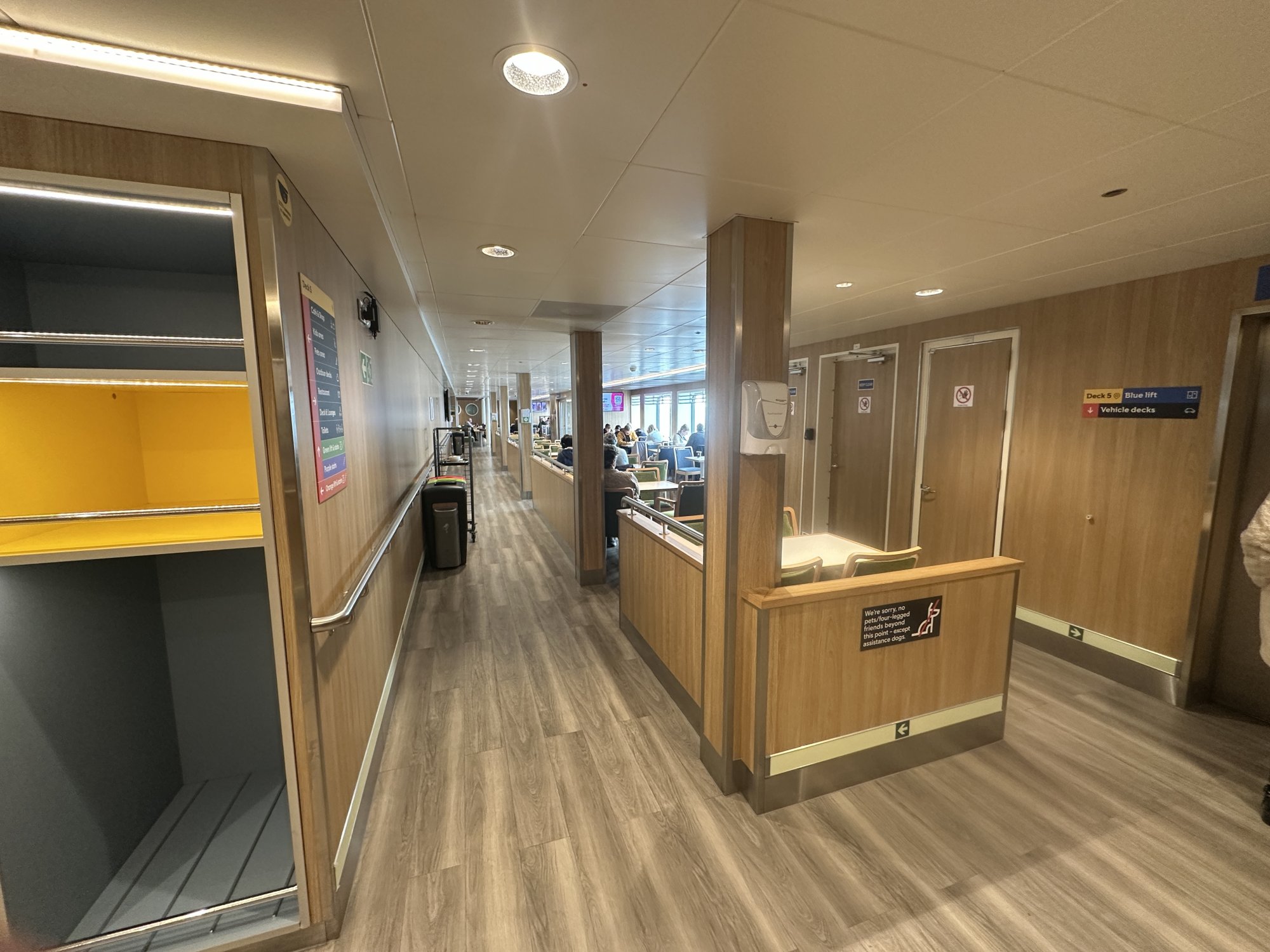 IMG_9965.jpeg IMG_9965.jpeg