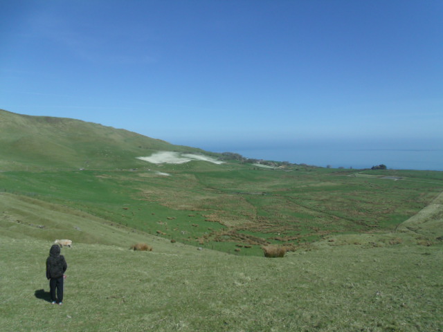 knockdu c.jpg