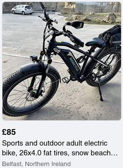 lece bike.jpg
