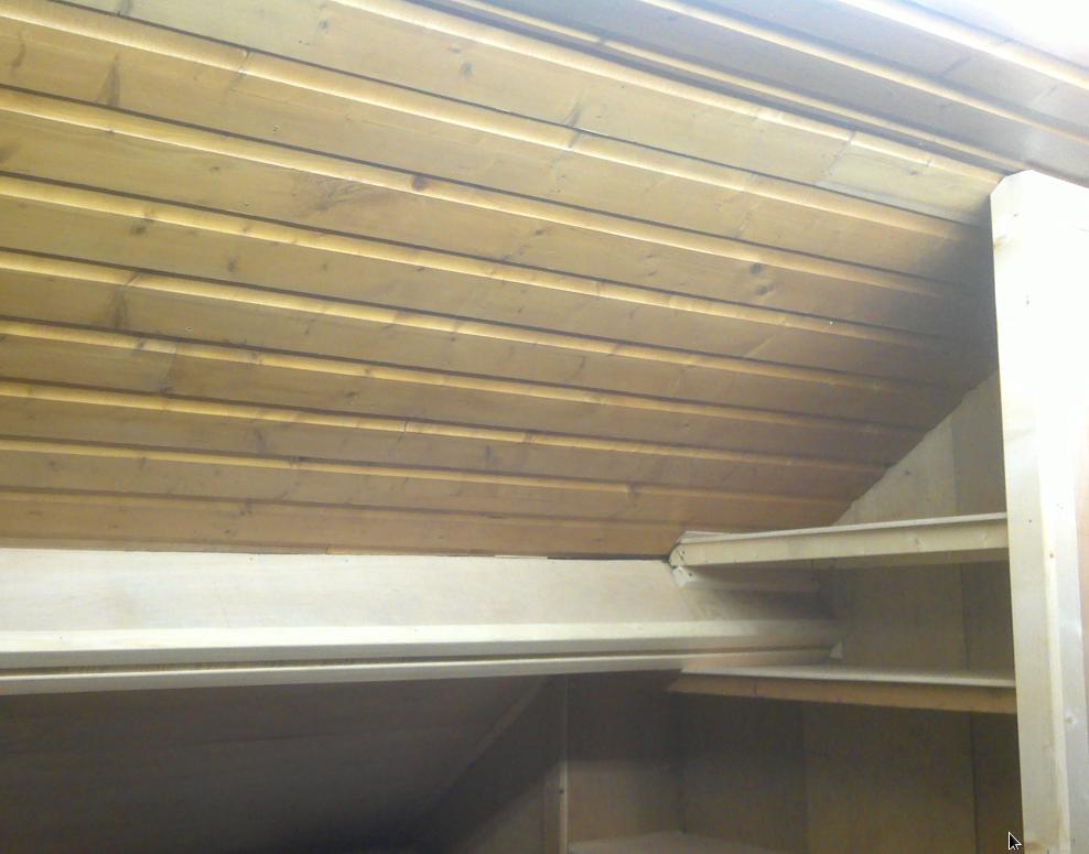 loft roof b.jpg