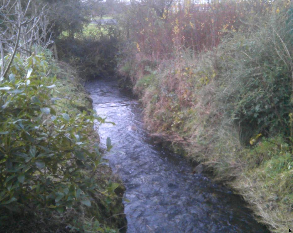 my river.jpg