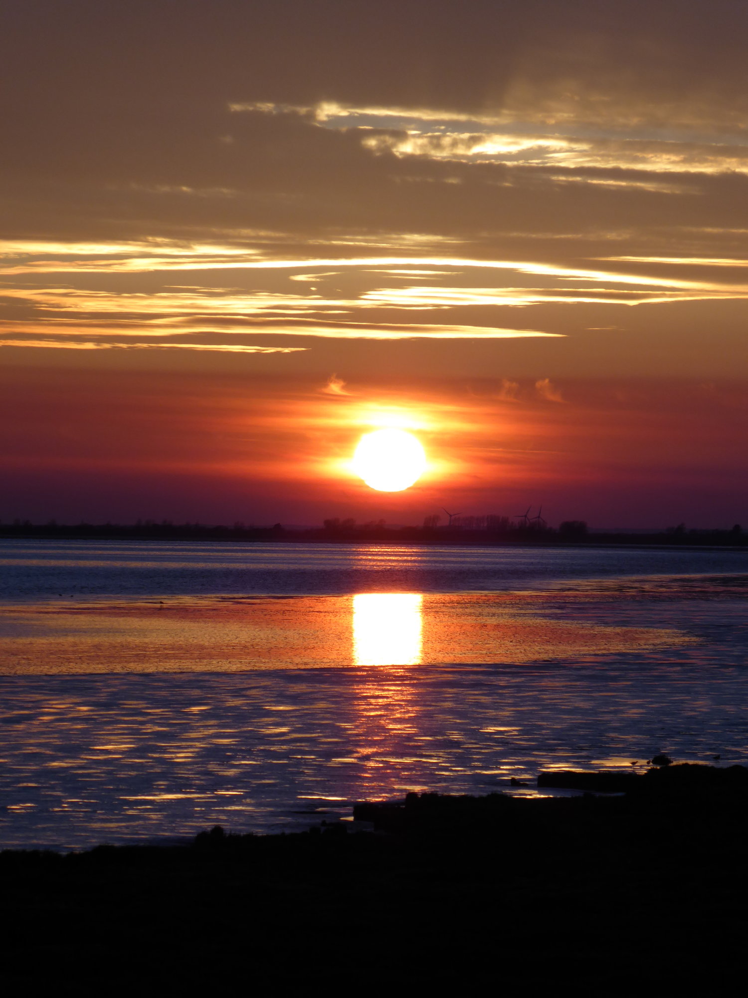P1010544.JPG