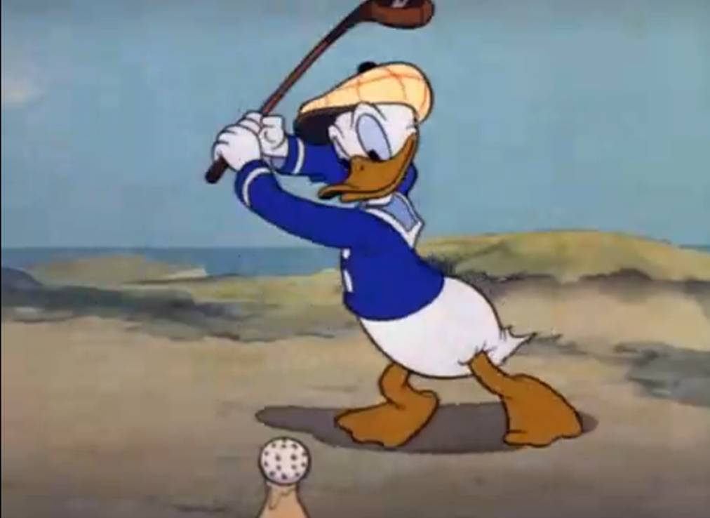 ProDuck.jpg