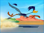 roadrunner .jpg