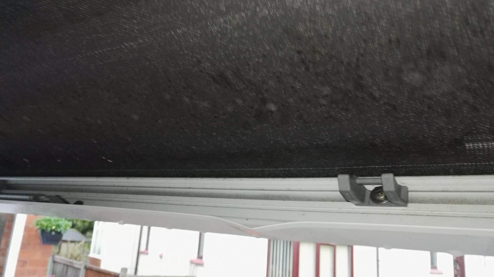 Robbie01 (8).jpg Robbie01 (8).jpg