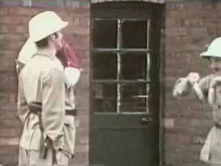 tcwgs8z3two81.gif