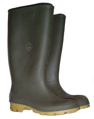 wellies.png