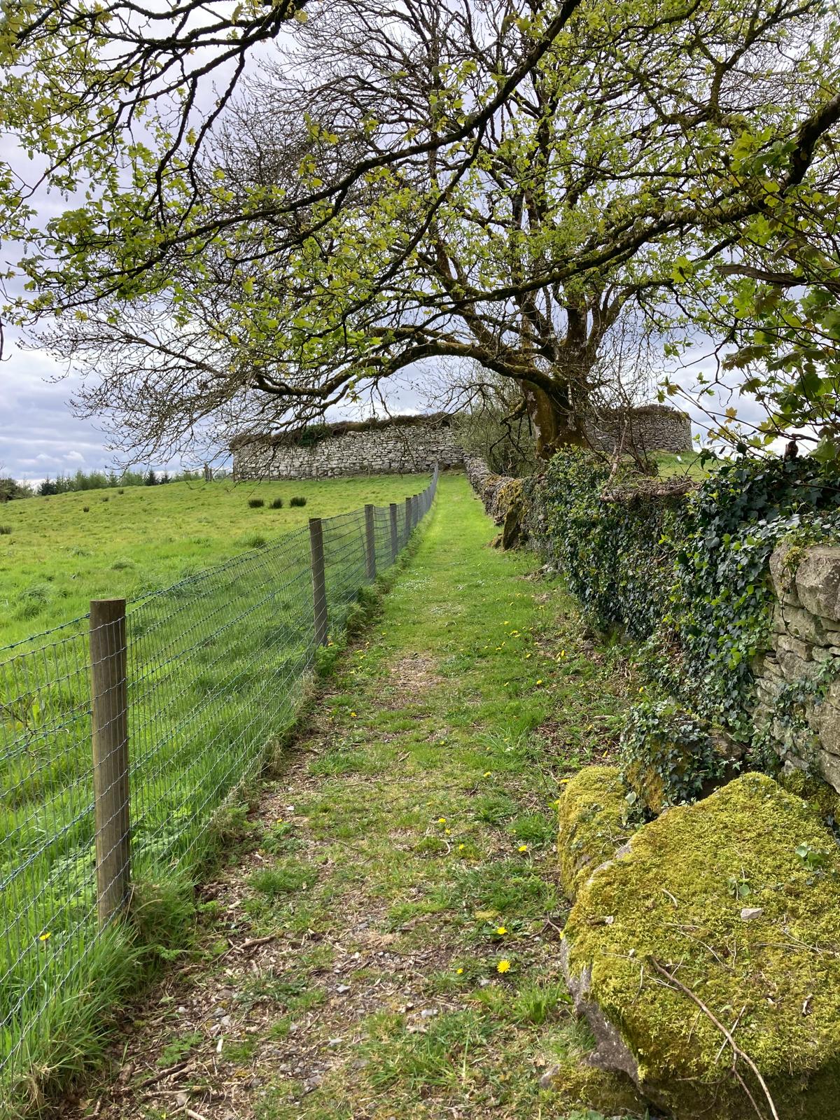 WhatsApp Image 2026-04-21 at 20.21.08 4.jpeg