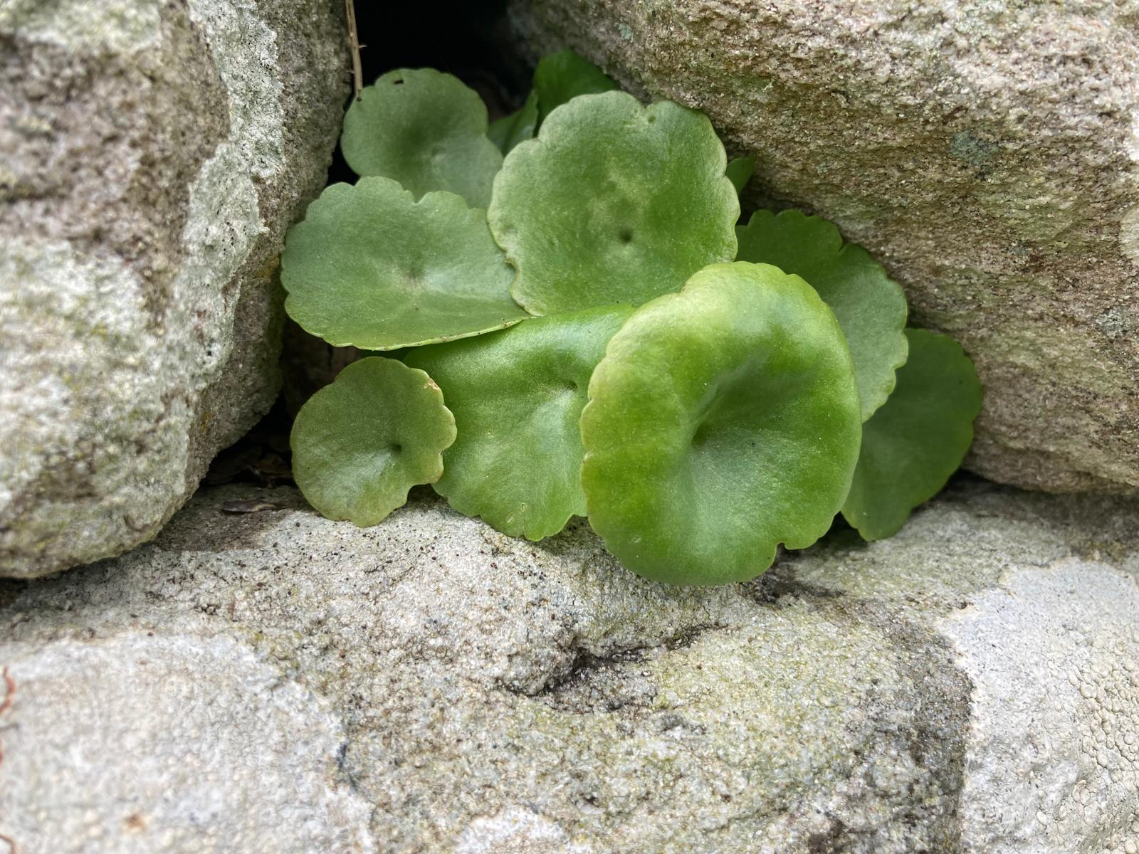 WhatsApp Image 2026-04-21 at 20.21.08 5.jpeg