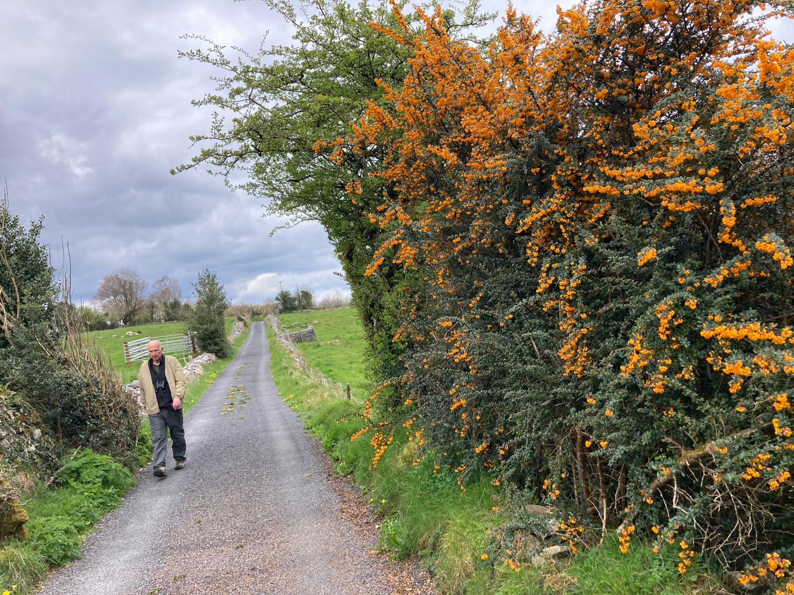 WhatsApp Image 2026-04-21 at 20.21.09.jpeg