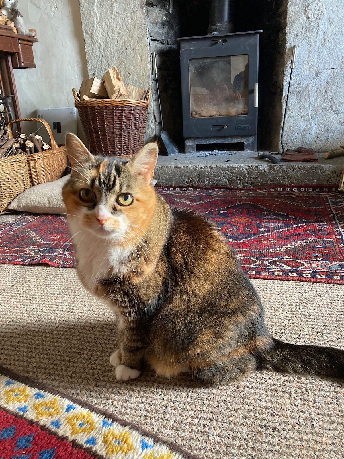 WhatsApp Image 2026-04-22 at 09.48.07.jpeg