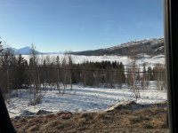 IMG_4245.jpeg IMG_4245.jpeg