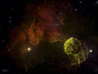 Jellyfish Nebula-1.jpeg
