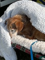 IMG_0963.jpeg