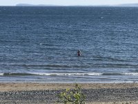 IMG_3170.jpeg