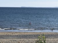 IMG_3168.jpeg