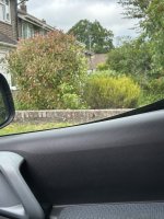 IMG_0309.jpeg
