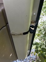 IMG_4816.jpeg